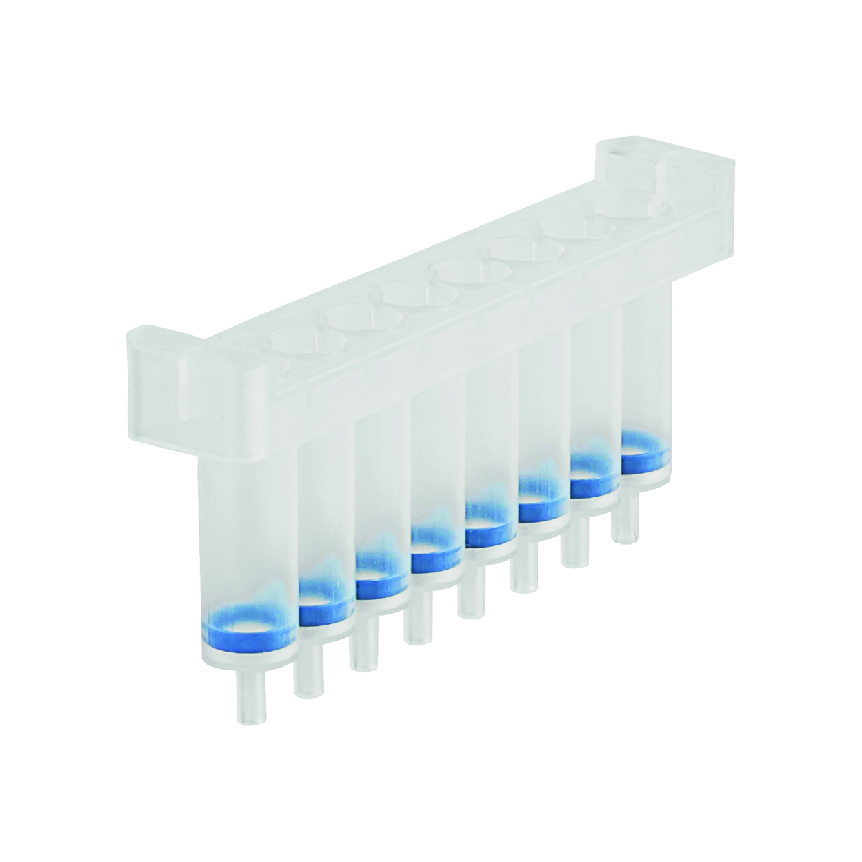 Search NucleoSpin 8 RNA, kits Macherey-Nagel GmbH & Co. KG (977566) 