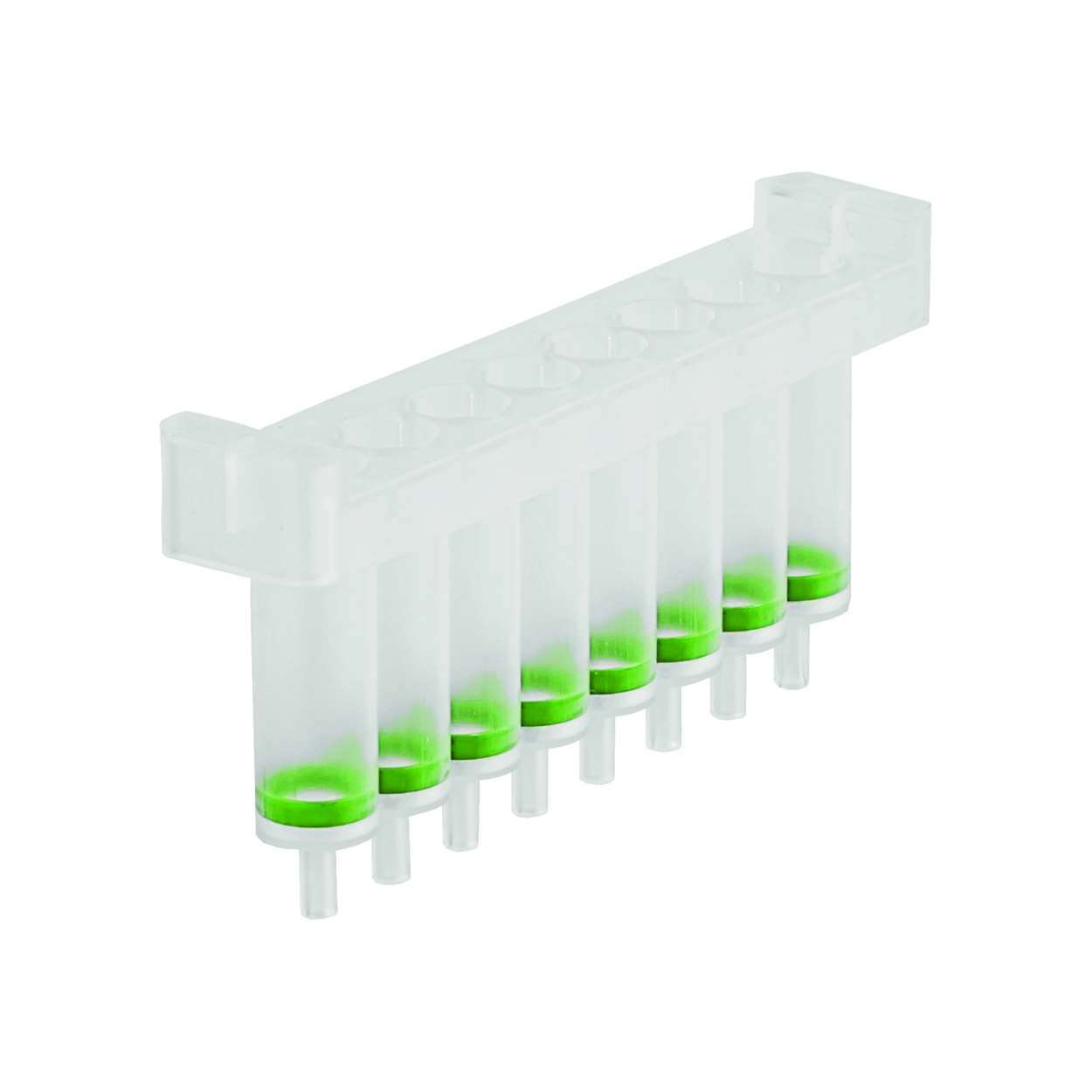 Search NucleoSpin 8 Tissue, kits Macherey-Nagel GmbH & Co. KG (977568) 