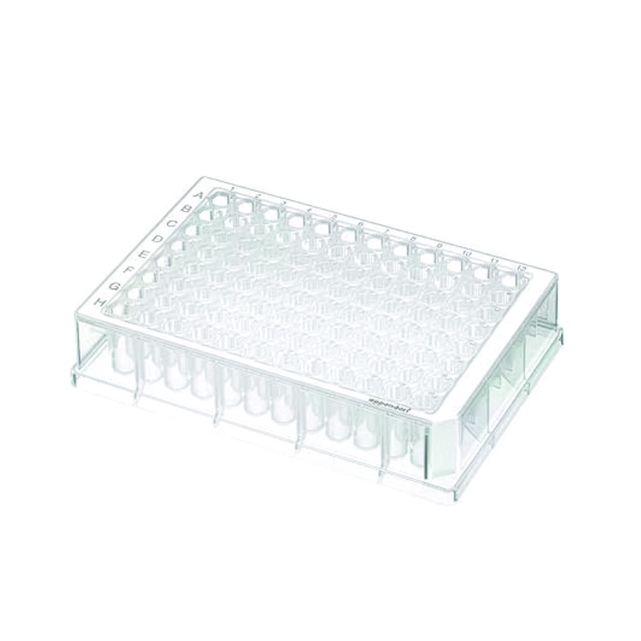 Search Deep-Well Plates, 96/384-well, PP, sterile Eppendorf SE (795967) 