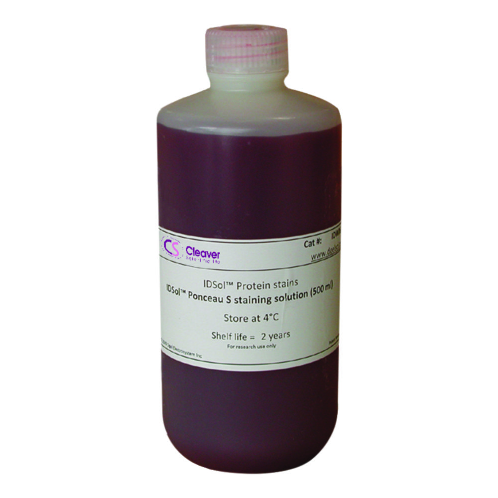 Search Staining Solution Ponceau S siehe 9400264 Thistle Scientif (5599) 