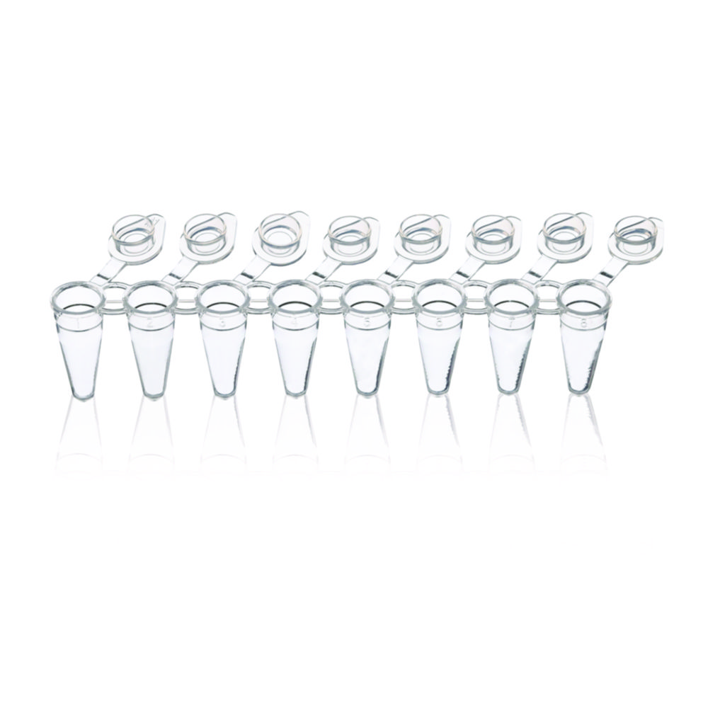 Search PCR tubes strips of 8, PP, with attached single caps, 3 ridges BRAND GMBH + CO.KG (825753) 