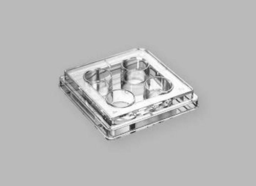 Search Cell Culture Plates, non-treated, PS, sterile Guangzhou JET Bio-Filtration (10569) 