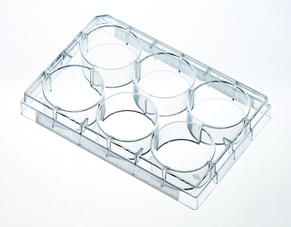 Search Tissue culture plates 48-well, PS 0.7cm², non-treated,  Guangzhou JET Bio-Filtration (10569) 