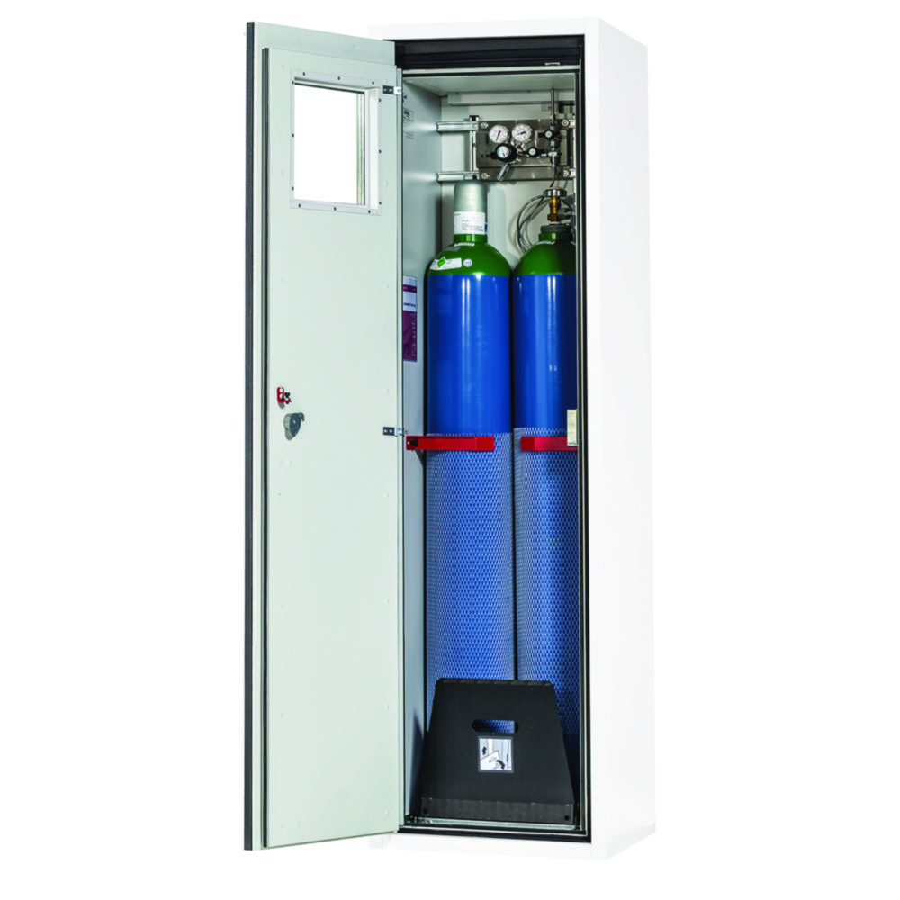 Search Fire Resistant Gas Cylinder Cabinets G90 Series for two 50 litre bottles with F90 glass-fronted wi asecos GmbH (900390) 