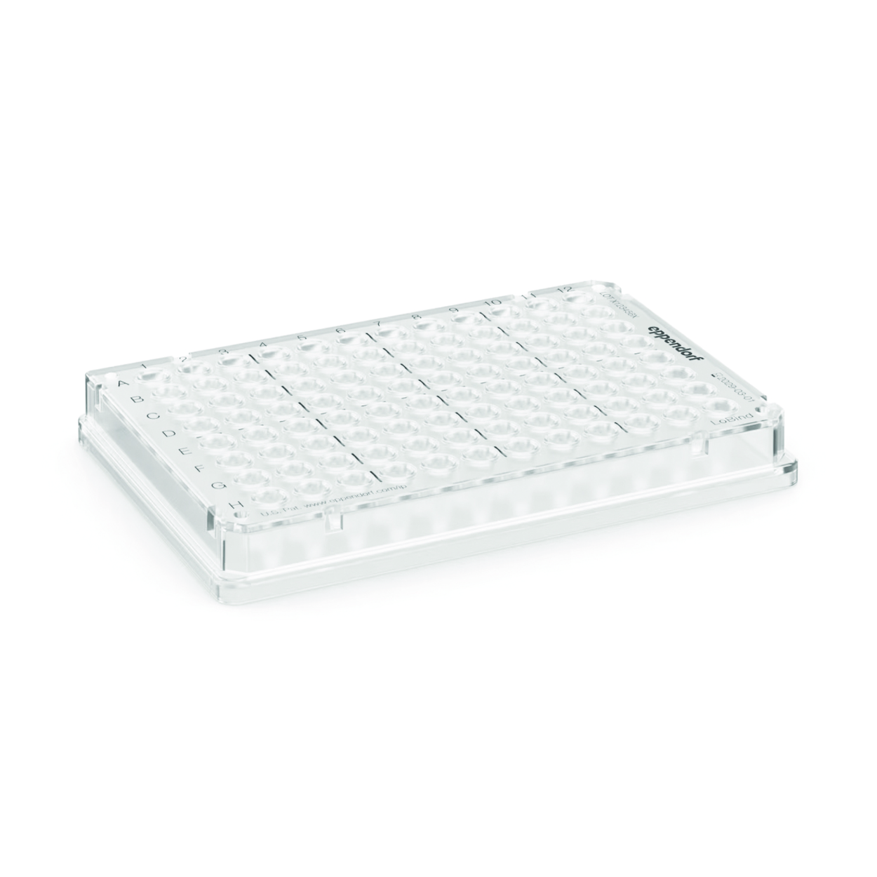 Search PCR plates, 96 well Eppendorf twin.tec Trace, LoBind Eppendorf SE (809033) 