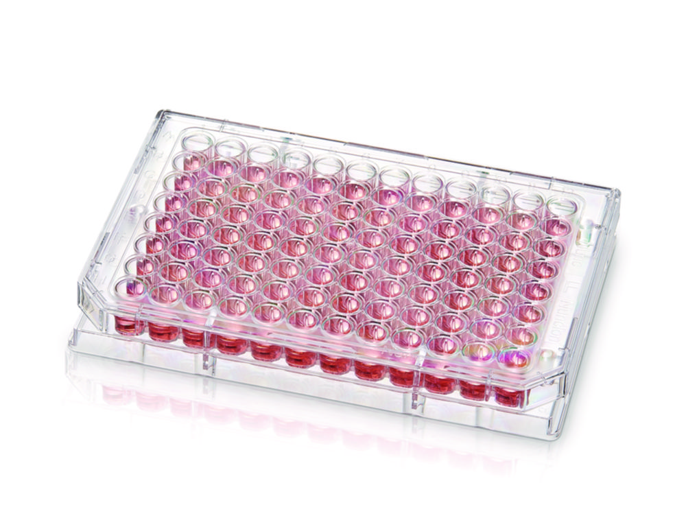 Search Cell culture plates Nunc, PS, with Nunclon Supra surface Thermo Elect.LED GmbH (Nunc) (803511) 