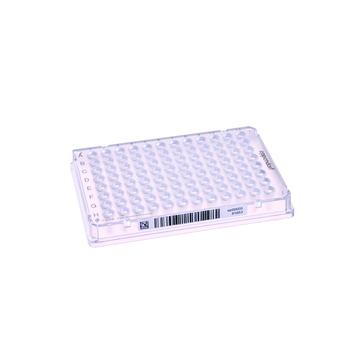 Search PCR plates Eppendorf twin.tec 96/384, PCR clean, with SafeCode Eppendorf SE (824453) 