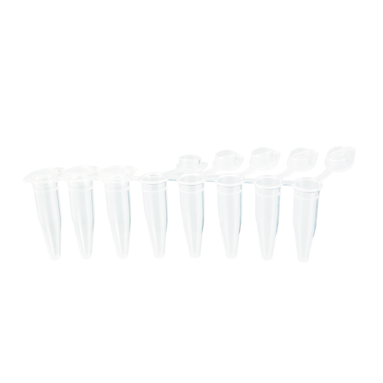 Search LLG-PCR tubes, PP, strips of 8 with attached flat caps LLG Labware (843844) 