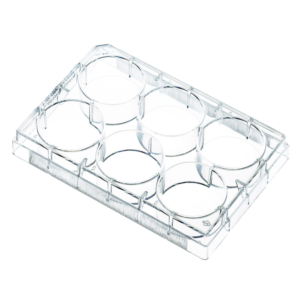 Search Cell and tissue culture plates CellSafe Guangzhou JET Bio-Filtration (906859) 