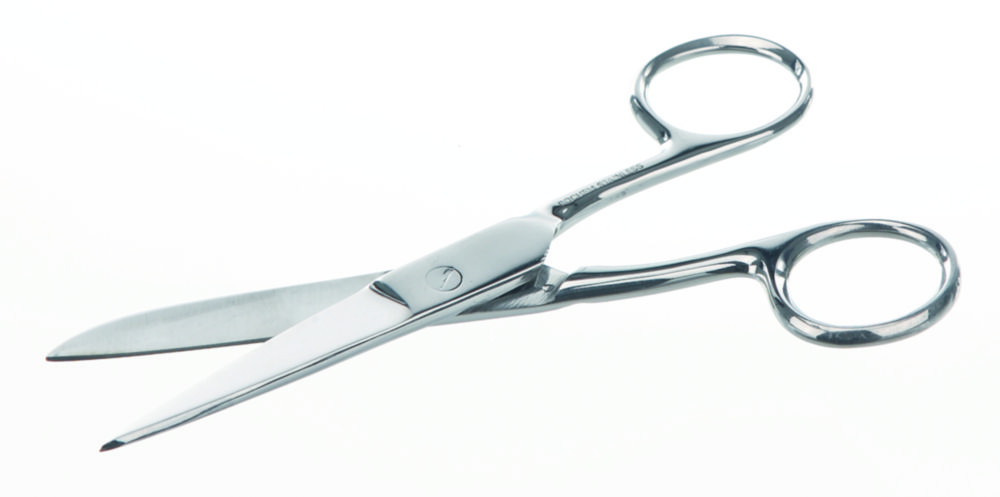 Search Laboratory scissors, stainless steel BOCHEM Instrumente GmbH (4835) 