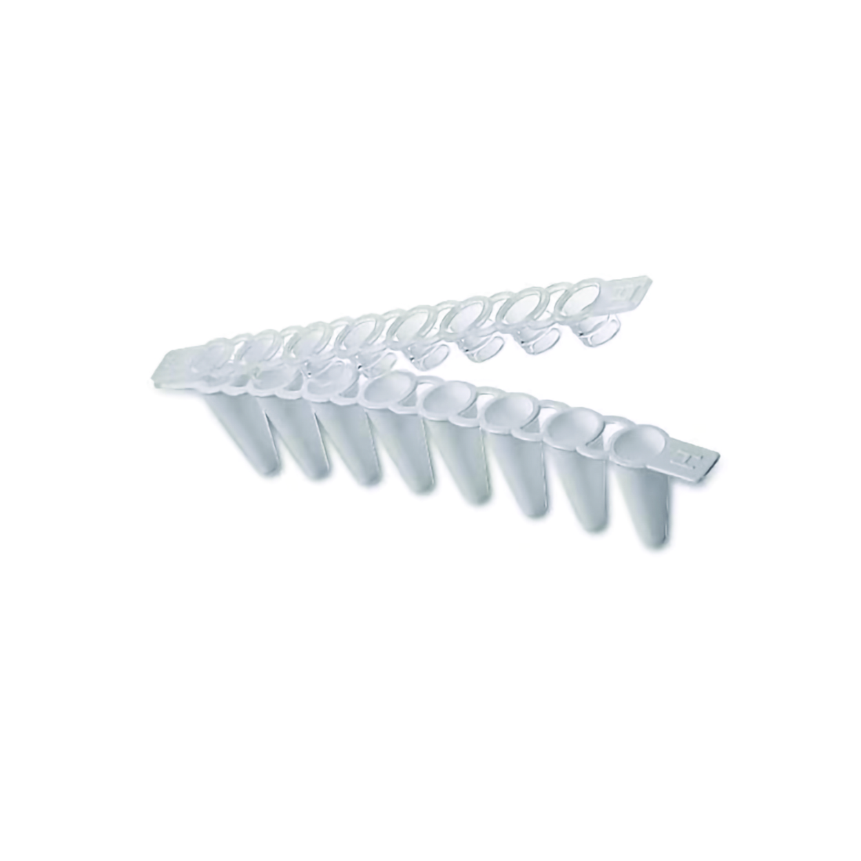 Search real-time PCR tubes, 8-tube strips, with separate cap strips Masterclear Eppendorf SE (986361) 