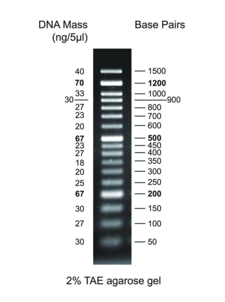 Search DNA Markers for Gel Electrophoresis siehe 9400264 Thistle Scientif (5565) 