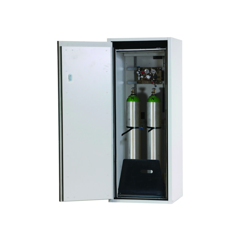 Search Fire Resistant Gas Cylinder Cabinets G90 Series for two 10 litre bottles asecos GmbH (900372) 