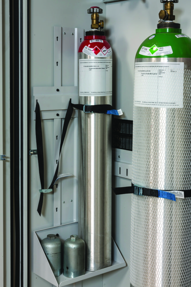 Search Accessories for Fire Resistant Gas Cylinder Cabinets asecos GmbH (900328) 