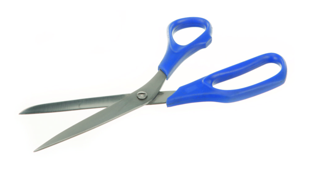 Search Laboratory scissors, stainless steel, with plastic handle BOCHEM Instrumente GmbH (580176) 