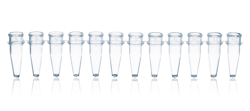 Search PCR tubes strips of 12, PP, without caps BRAND GMBH + CO.KG (825496) 