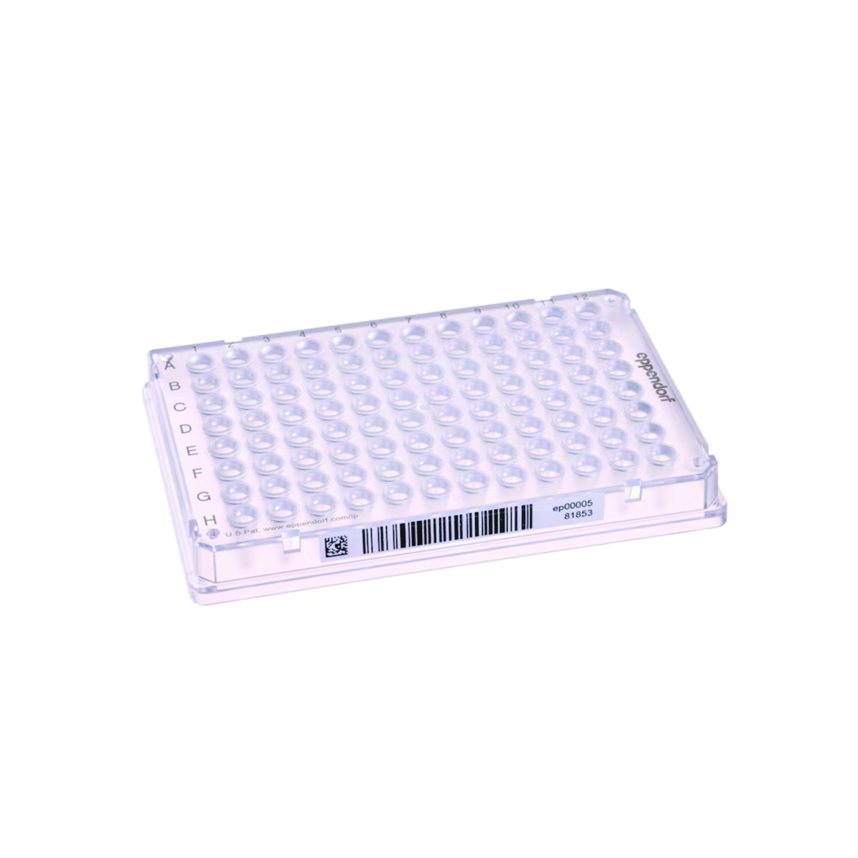 Search PCR plates Eppendorf twin.tec 96, LoBind, with SafeCode Eppendorf SE (997523) 