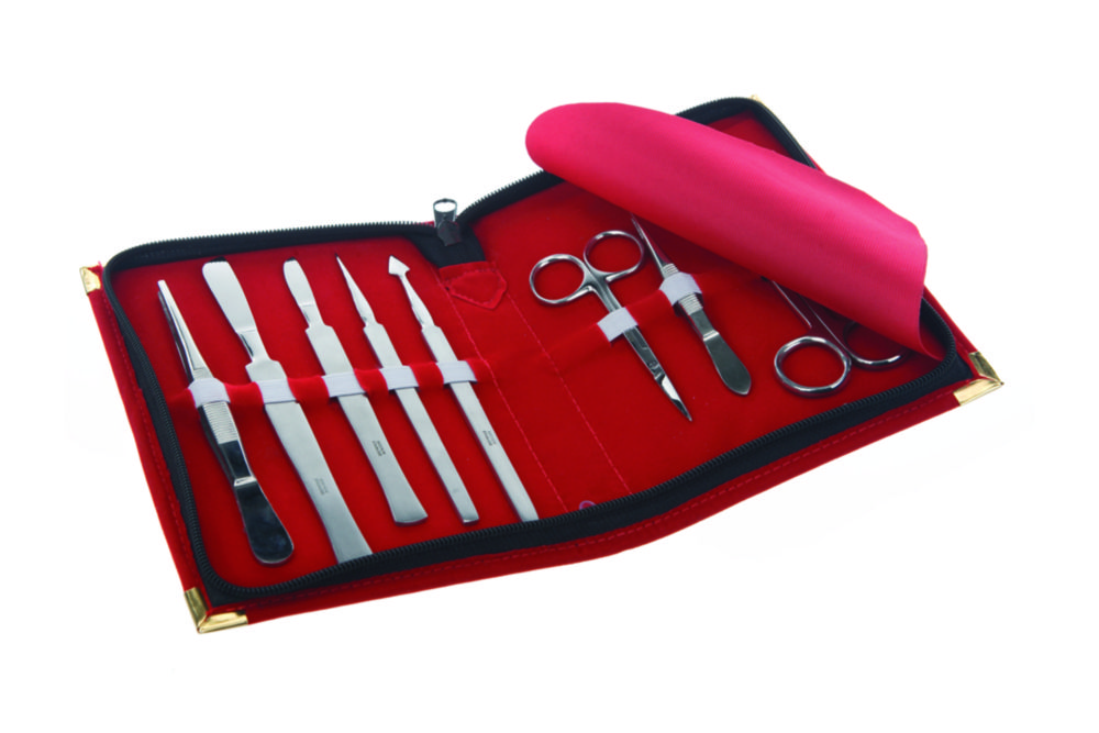 Search Dissecting Set, 8 pieces, stainless steel BOCHEM Instrumente GmbH (3638) 