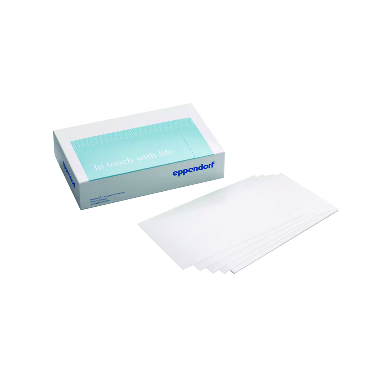 Search Plate seals Masterclear real-time PCR Film Eppendorf SE (986385) 