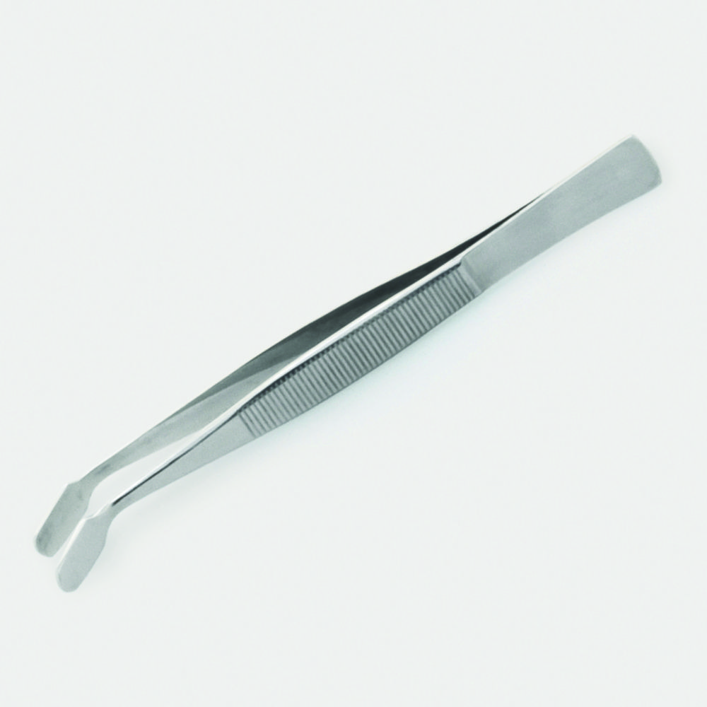 Search Cover glass forceps, stainless steel ISOLAB Laborgeräte GmbH (10465) 