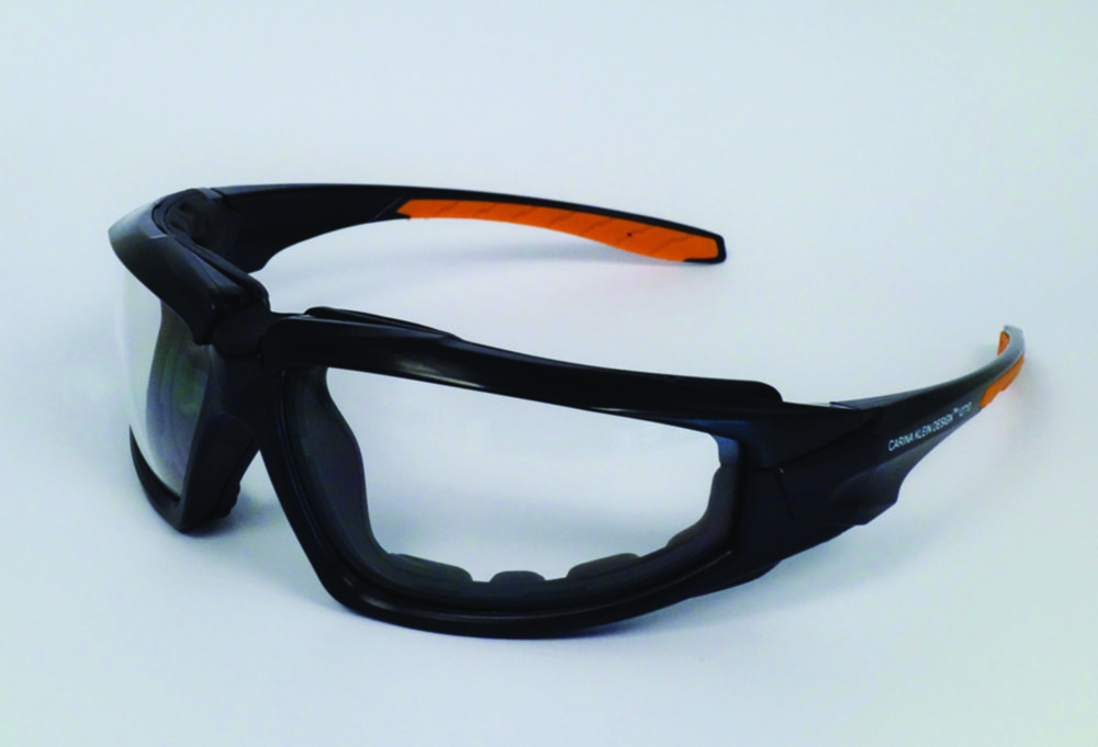 Search Safety eyeshields CARINA KLEIN DESIGN 12710, with removable inner padding EKASTU Safety GmbH (805911) 