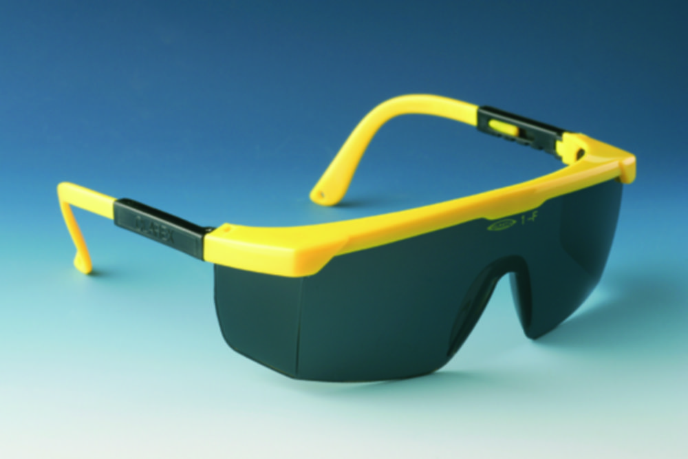 Search EKASTU Safety GmbH (1119)-Safety eyeshields CLAREX