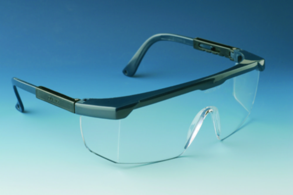 Search Safety eyeshields CLAREX EKASTU Safety GmbH (1119) 