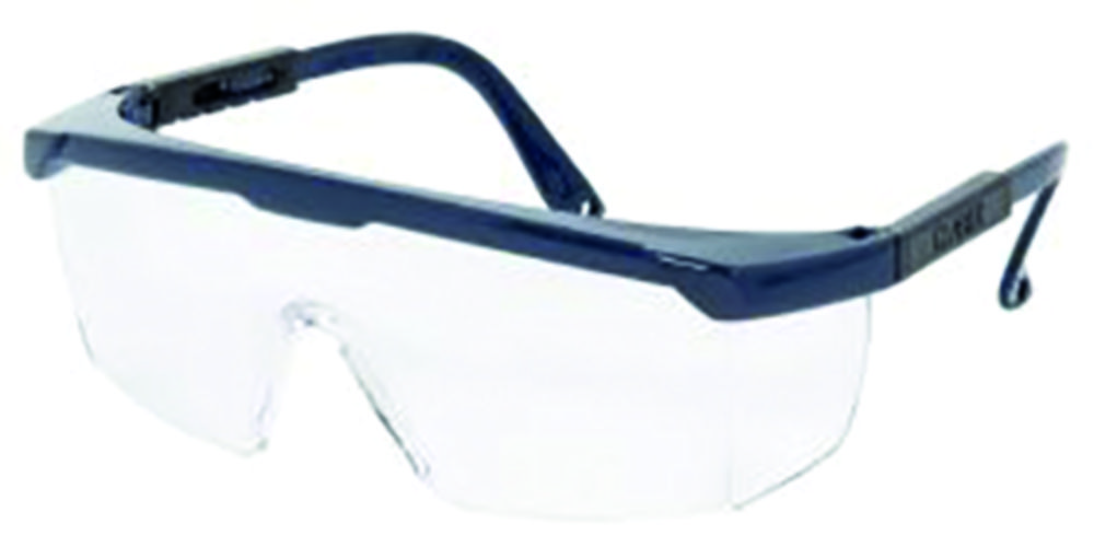 Search Safety eyeshields CLAREX EKASTU Safety GmbH (1119) 