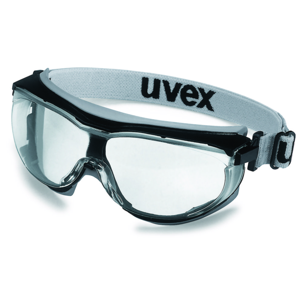 Search Panoramic Eyeshield uvex carbonvision 9307 Uvex Arbeitsschutz GmbH (7840) 
