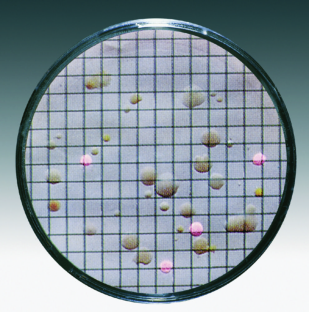 Search Nutrient pads, Ø 47 mm Sartorius Lab Instruments (4323) 