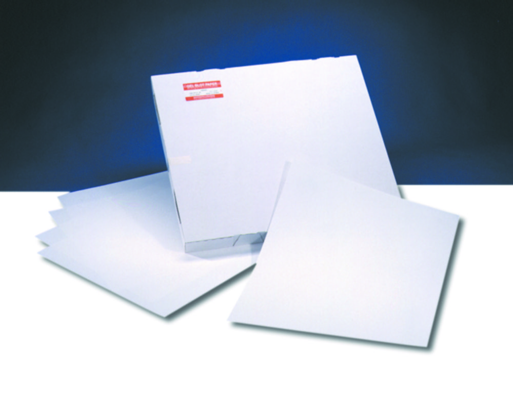 Search Gel blotting paper Cytiva Europe GmbH (3244) 