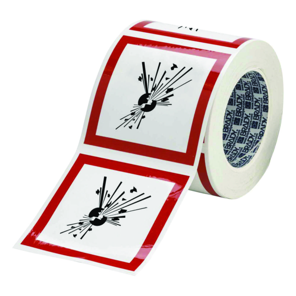 Search Hazard labels (GHS), roll Brady GmbH (928459) 