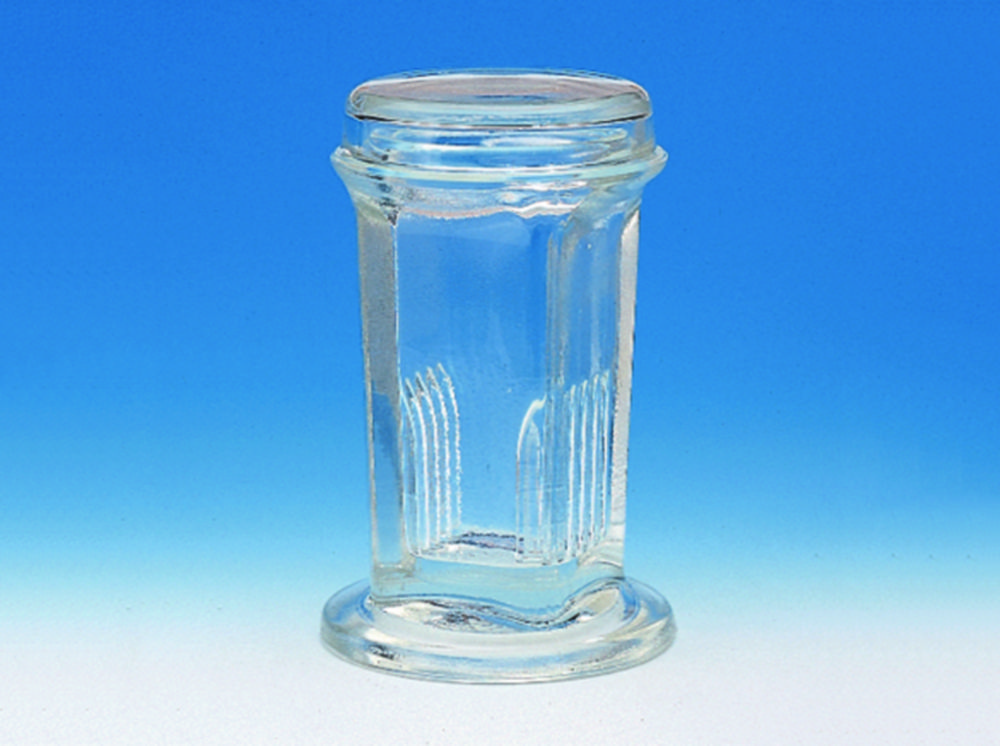 Search Staining jar, glass, Coplin Glaswarenfabrik Karl Hecht (849) 