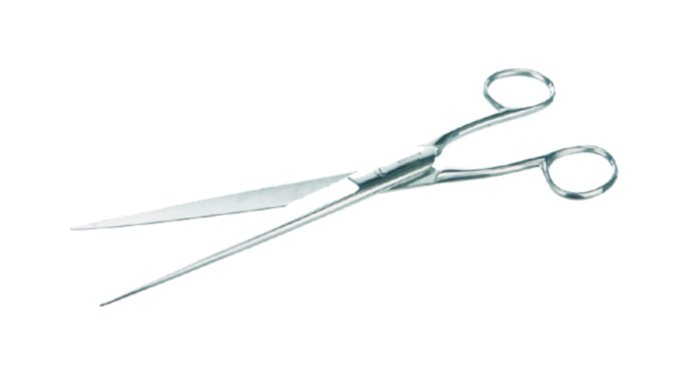 Search Paper scissors, stainless steel BOCHEM Instrumente GmbH (1059) 