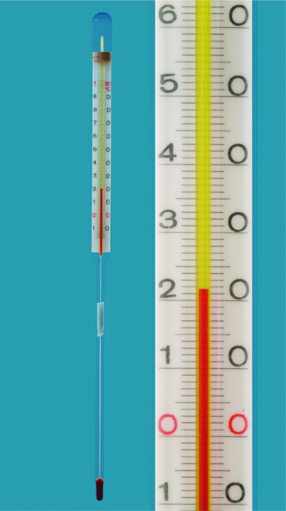 Search Straight stem thermometers Amarell GmbH & Co KG (1366) 