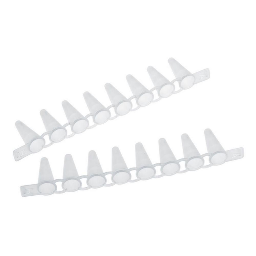 Search PCR Tube Strips and Cap Strips Eppendorf SE (7702) 