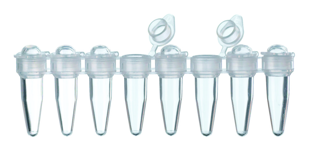 Search LLG-PCR-Tubes, 8 Strips with attached individual caps, PP LLG Labware (9228) 