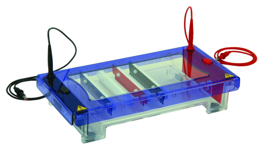 Search Gel electrophoresis tank MultiSUB Choice Stretch Thistle Scientific Ltd. (963785) 