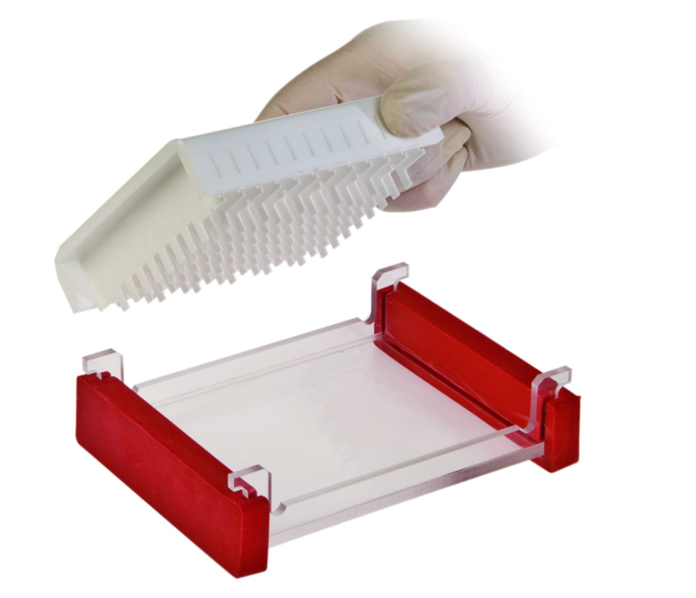 Search Thistle Scientific Ltd. (8208)-Gel electrophoresis tank MultiSUB Midi-96