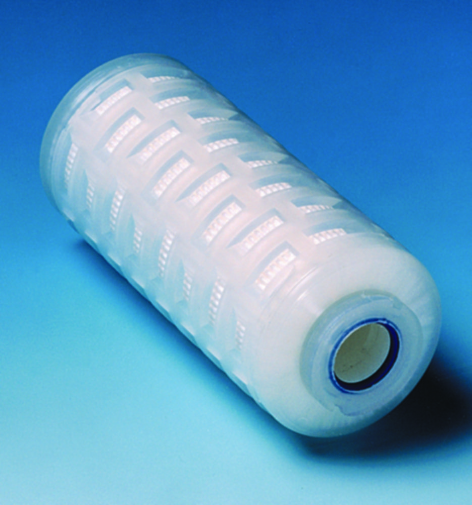 Search Mini-cartridge filters Sartorius Stedim Biotech GmbH (2080) 