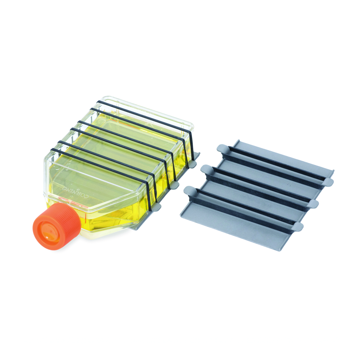 Search Universal clip plate Ohaus GmbH (837457) 