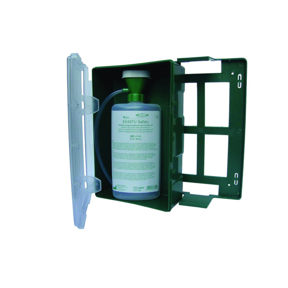 Search Wall cabinet with structured lid (empty) EKASTU Safety GmbH (5792) 