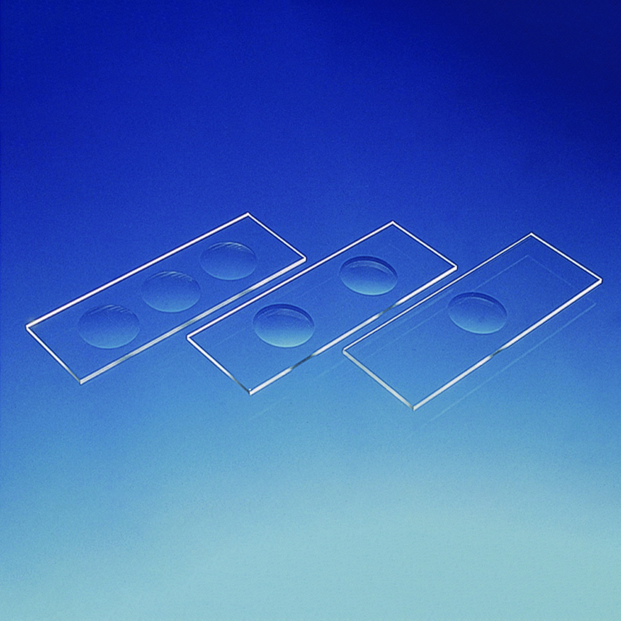 Search Microscope slides with concavities BRAND GMBH + CO.KG (1001840) 