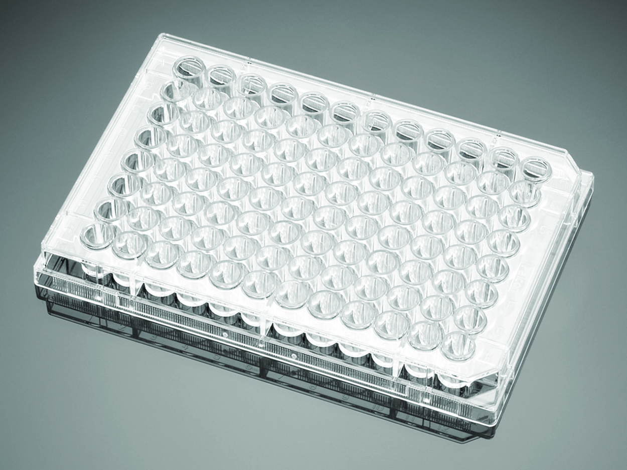 Search Cell culture plates, Falcon, PS, 96-well, round bottom Corning BV (1004836) 