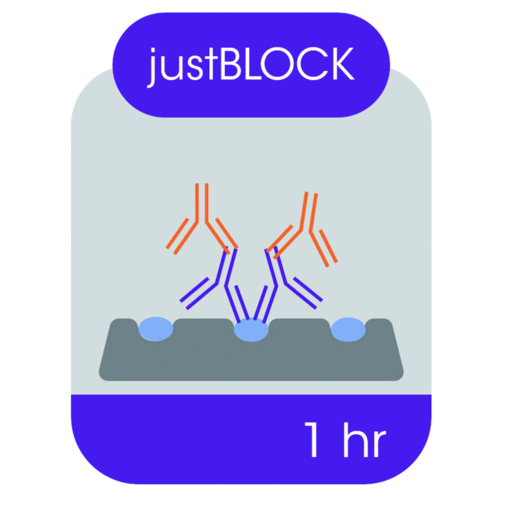 Search Blocking solution for Western blot siehe 9400264 Thistle Scientif (10086) 