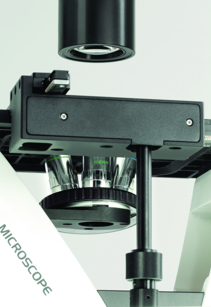 Search Kern & Sohn GmbH (10652)-Inverted microscope Lab Line OCM