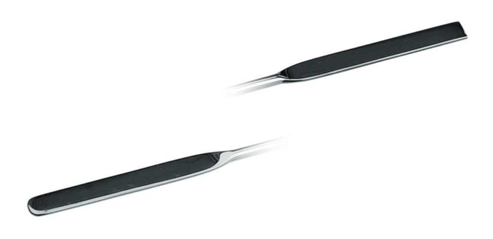Search Micro double-ended spatulas, 18/10 steel BOCHEM Instrumente GmbH (1181) 