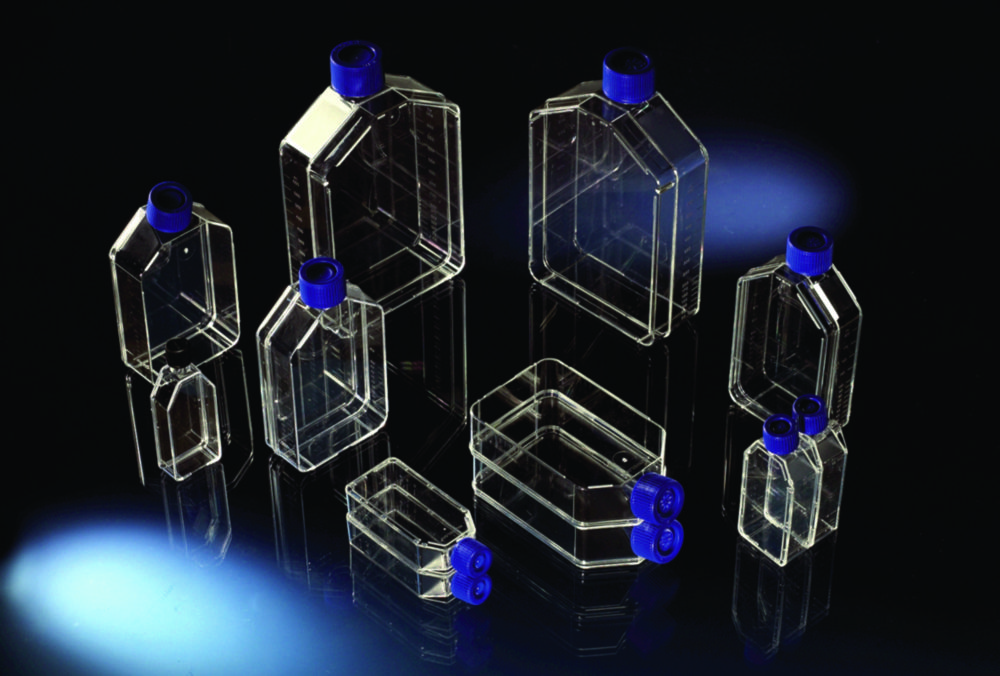 Search Cell Culture Flasks, NunclonΔ Surface, PS/HDPE, sterile Thermo Elect.LED GmbH (Nunc) (4204) 