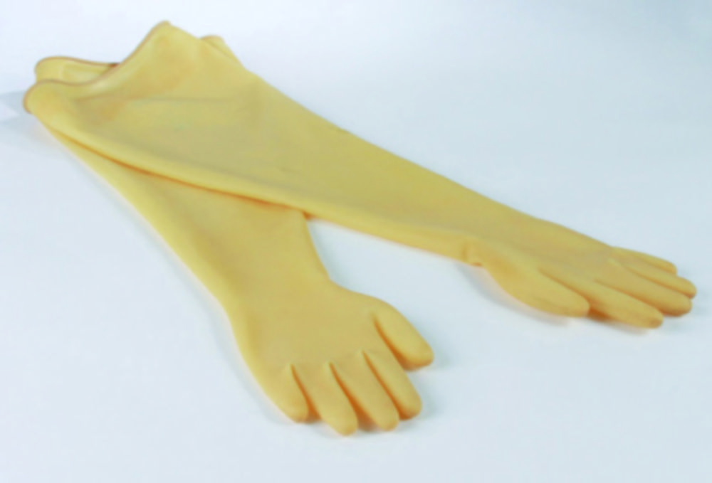 Search Gloves for Glove boxes, natural rubber Bohlender GmbH (493192) 