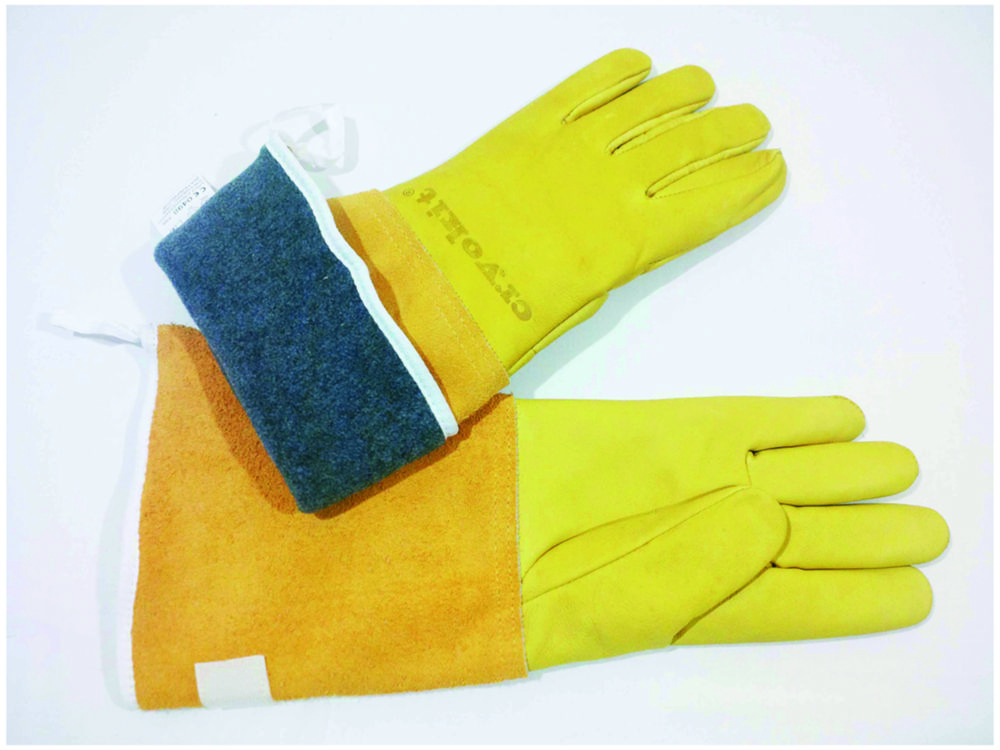 Search Protection Gloves CRYOLITE tec-lab GmbH (5611) 